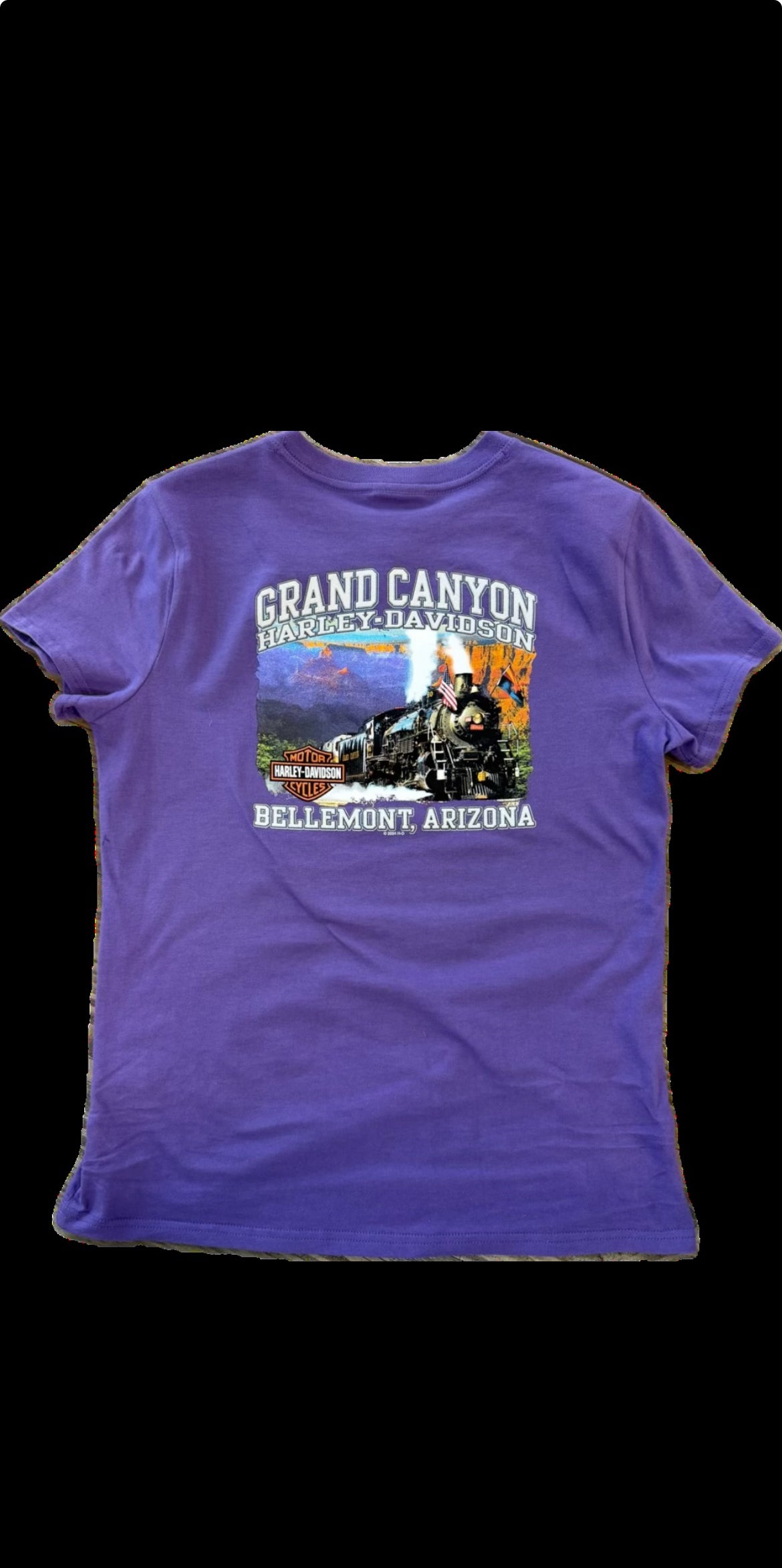 H-D Pointed Wings Wmns