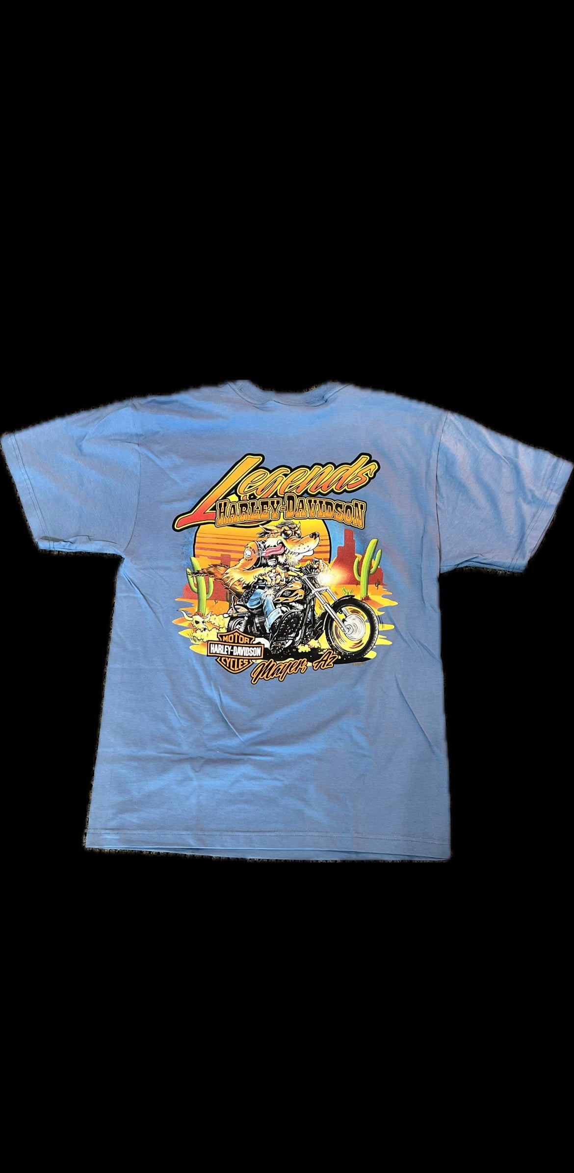 Grit Eagle Mns T